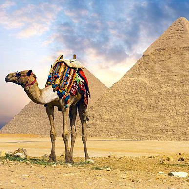 Nyaralás Egyiptomban - akciós utazások!!!