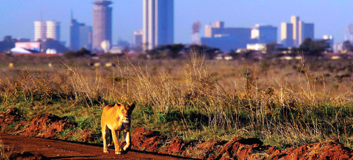 Kenya Utikritika hu Kenya Utikritika hu