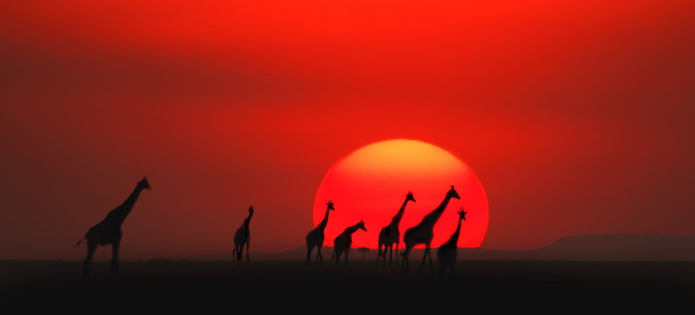 Kenya Utikritika hu Kenya Utikritika hu